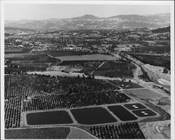 Sewage treatment ponds near Healdsburg, California, 1976