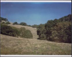 View of the Treadwell-Callison Ranch, Calistoga Road, Santa Rosa, California, 1970s