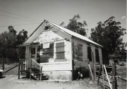 Cinnabar Rifle Shop at 196 Cinnabar Avenue, Petaluma, California, May 27, 1997