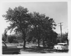 Cars on Mendocino Avenue near the Benton Street intersection, Santa Rosa, California, 1964