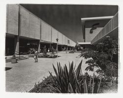 Coddingtown Shopping Mall, Santa Rosa , California, 1967