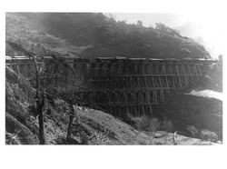 Logging train crossing a railroad trestle, Sonoma County, California, about 1880