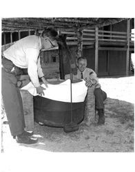 Rangers adjusting a vat at the Old Adobe, Petaluma, California, 1964