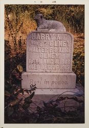 Tombstone of Harry A. Olney, Guerneville Cemetery