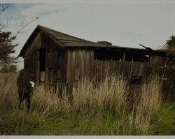 Masciorini barn, 4004 Lakeville Highway, Petaluma, California, July 2005