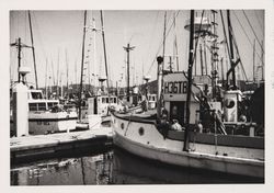 Fishing boats at Bodega Bay