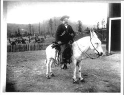 S. H. Torrance on his mule, Guerneville, California, about 1875