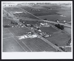 Aerial view of Highway 101 and State Farm Drive in Rohnert Park, California, about 1957