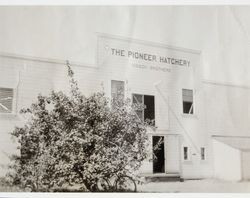 Nisson Brothers Pioneer Hatchery building, Petaluma, California