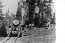 Charles E. Fuller's logging operation at Markham's