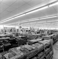 Interior view of K-mart Discount Department Store