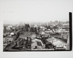 Rooftop view of Petaluma