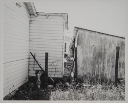 Hillview Grocery, Sonoma, California, May 1, 1958