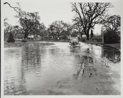 Flooded driveway at Santa Rosa Junior College