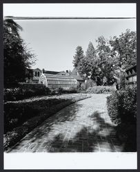 Greenhouse at Luther Burbank Home and Gardens, Santa Rosa, California, 1970