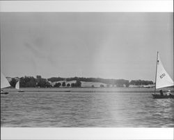 Sailboat race on the Petaluma River on July 28, 1973