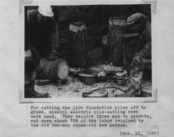 Men cutting foundation piers at the Poultry Producers of Central California mill, Petaluma, California, 1937