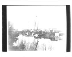 Boats docked in the Petaluma River near the Washington Street Bridge, Petaluma, California, about 1883