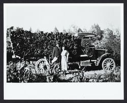 Truck loaded with bark