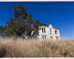 Oak tree and the Haystack House before it burned down, Petaluma Boulevard South, Petaluma, California, August 29, 2004