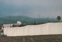Christo's Running Fence winding through Valley Ford, California, September, 1976