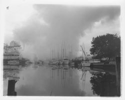 Golden Eagle Milling Co. viewed from the Petaluma River, Petaluma, California, 1959