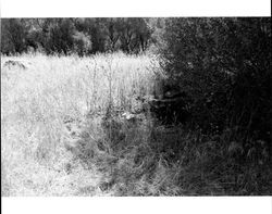 Remains of a foundation originally part of a barn located at 1480 Los Olivos Road, Santa Rosa, California, 1987