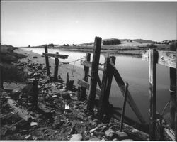 Petaluma River Landing pilings located on the Masciorini Ranch southeast of Petaluma, California, looking toward the south, July 2005