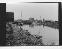 View of wharf area of Petaluma River, Petaluma, California, about 1882