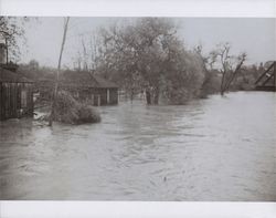 Russian River flood at Healdsburg, California, 1937