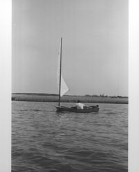 Sailboat race on the Petaluma River on July 28, 1973