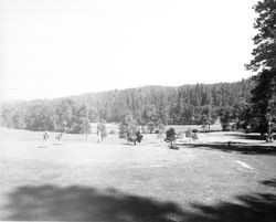 Golf course at Cobbview Heights