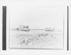 Harvesting hay near Cotati, California, about 1902