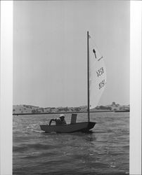 Sailboat race on the Petaluma River on July 28, 1973