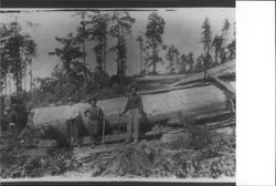 Three men in front of a large log at Sugar Loaf Logging Show