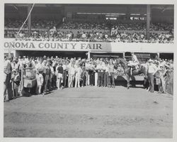 Winning horse and jockey with fans in the Winner's Circle at the Sonoma County Fair Racetrack, Santa Rosa, California