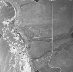 Shell Beach and northern Wright Beach--aerial views