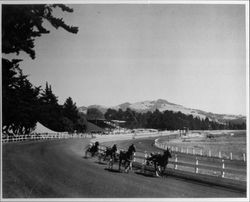 Harness racing at the Sonoma County Fairgrounds, about 1936