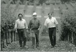 Fred, Bob and Jim Young