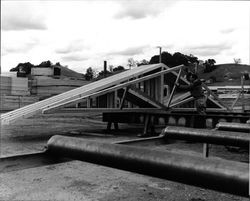 Scenes at Idaco Lumber yard, Healdsburg, California, 1963