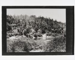 Looking at Monte Rio from across the river