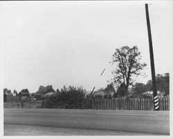 California Charcoal Company,Windsor, California, September 8, 1952