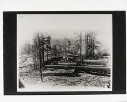 Sugar Loaf Logging Show of July 27, 1914