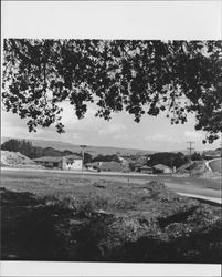 New homes being erected near Larch Drive, Petaluma, California, 1975