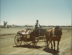 Horse and carriage in the Bicentennial Parade, Petaluma, California, July 4, 1976