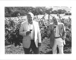 Allan Hemphill and Ed Gauer standing amongst grape vines in , Alexander Valley, Sonoma County, California