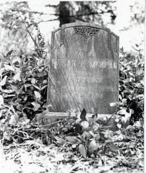 Tombstone of Oscar E. McKean, killed in the Guerneville fire, Guerneville Cemetery