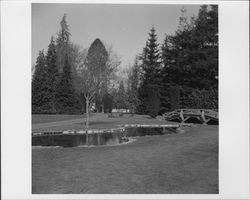 Juilliard Park, Santa Rosa, California, 1959