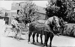 Man with wagon and team of horses in front of Skaggs Livery Stable