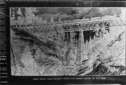 North Pacific Coast Railroad bridge over Brown's Canyon